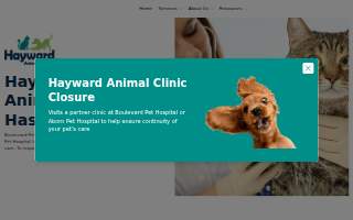 Hayward Animal Clinic website