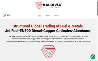 Valdivia Holdings, Inc. website