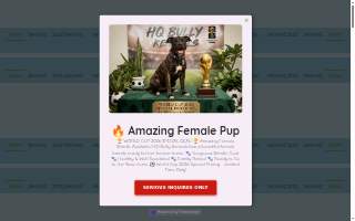 HQ Bully Kennels website