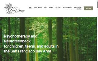 Nes Pinar website