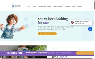 Connection Therapy Clinic website