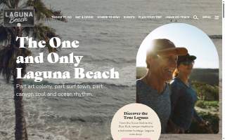 Laguna IT website
