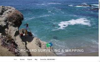 Borchard Surveying and Mapping, Inc. website