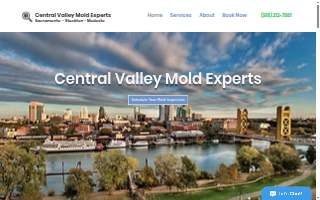 Central Valley Mold Experts website