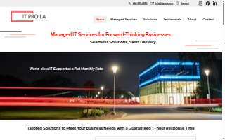 IT Pro LA website