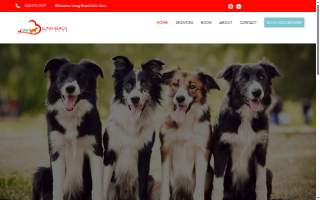 Long Beach Pet Care website
