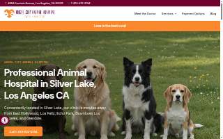 Angel City Animal Hospital website