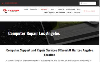 Computer Repair Los Angeles website