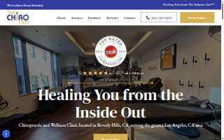 The Chiro Guy Chiropractic and Wellness Center website