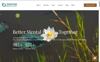 Together Mental Health website