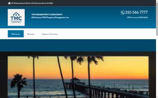 The Management Consultants website