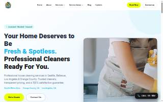 24 25 Cleaners website