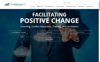 Consulting Team LLC website