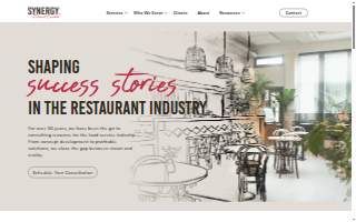 Synergy Consultants website