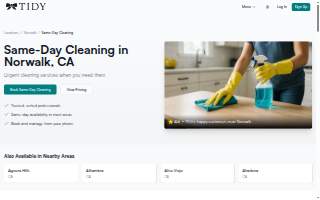 Cleaners website