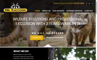 Mr. Raccoon website