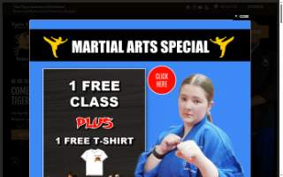 Twin Tigers Academy of Self Defense website