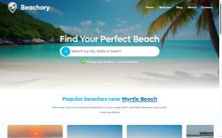 Beach City Detail website