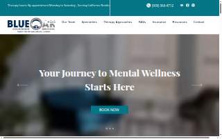 Blue Oak Counseling Services, Inc. website