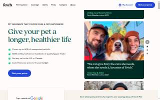 Fetch Dog Spa website