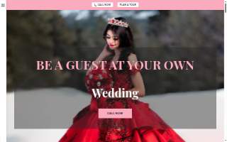 Fashion Party Planner website