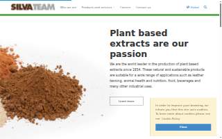 The Silva Group - Morgan Stanley website