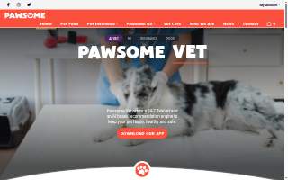 Pawsome Pet Care website