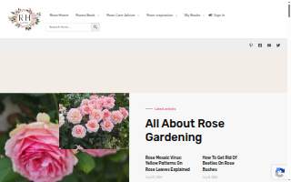 Rose Senior Home website