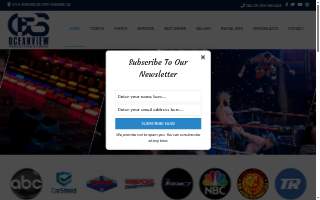 Oceanview Production Studios website