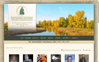 Bonham Brothers & Stewart website