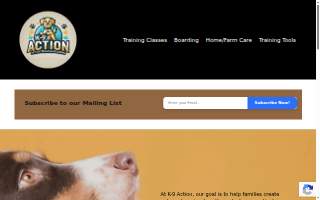 K-9 Action Dog Training and Boarding website