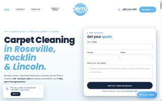Morris Carpet Care website