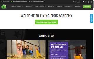 Flying Frog Academy website