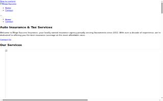 Mega Success Insurance Services website