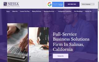 Nessa Business Solutions website