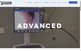 Northside Veterinary Clinic: De Wett Patty DVM website
