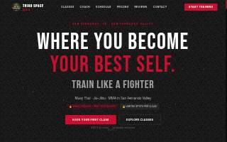 Third Space MMA website