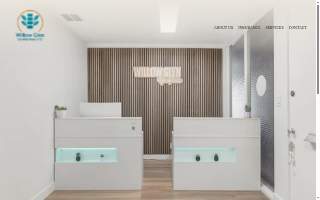 Willow Glen Chiropractic website
