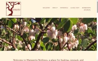 Manzanita Wellness Clinic website