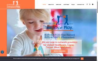 Therapy at Play, Inc. of San Ramon website