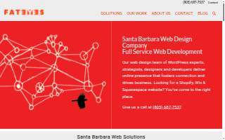 Fat Eyes Web Development website