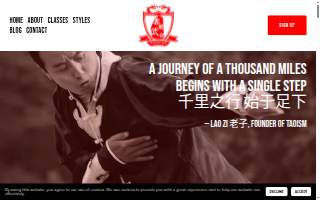 Master Yun Traditional Tai Chi and Kung Fu website