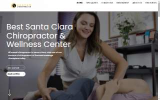 Custom Chiropractor website