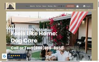 Feels Like Home: Dog Care website