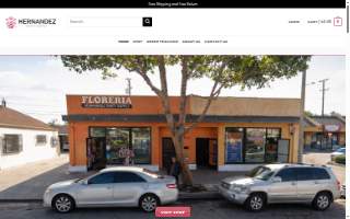 Hernandez Party Supply website