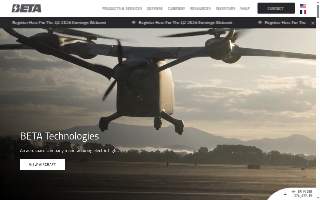 Beta Security Systems Inc website