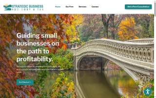 Strategic Business Advisory & Tax website
