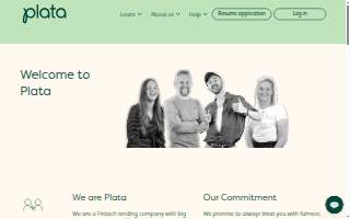 Plata Construction Inc website