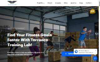 Torrance Training Lab website