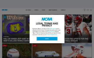 Final Game Sports website